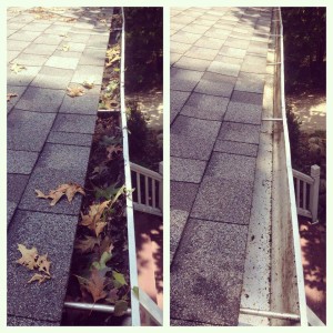 Before & After Houston Gutter Cleaning